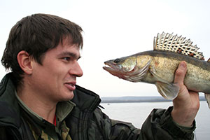 O segredo do vendedor de peixes