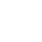 Logo SIMM